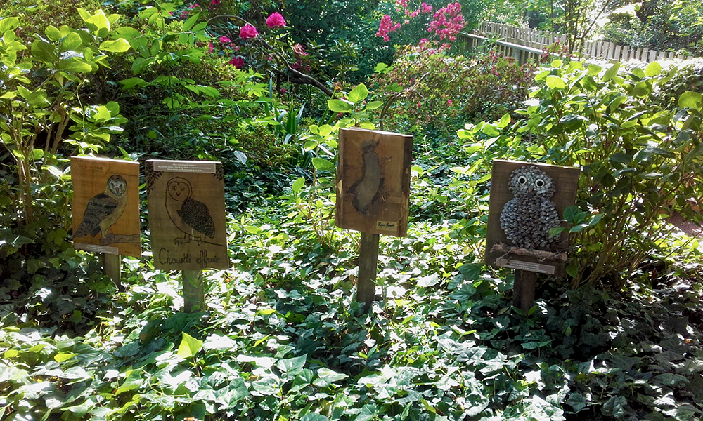 Les oiseaux Les oiseaux