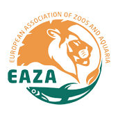 eaza2