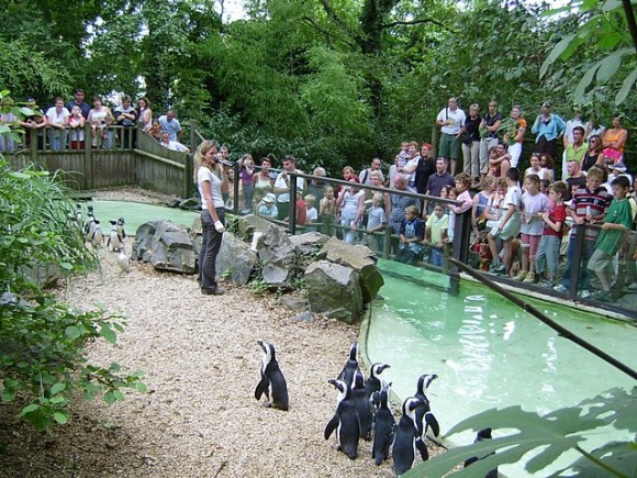 Zoo En Images Zoo Des Sables D Olonne Zoo En Images Zoo Des Sables D Olonne