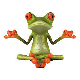 grenouille_concours2