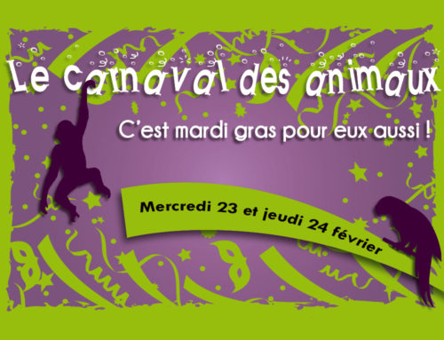 On Wednesday, 23rd and Thursday , 24th of February : The Carnival of animals
