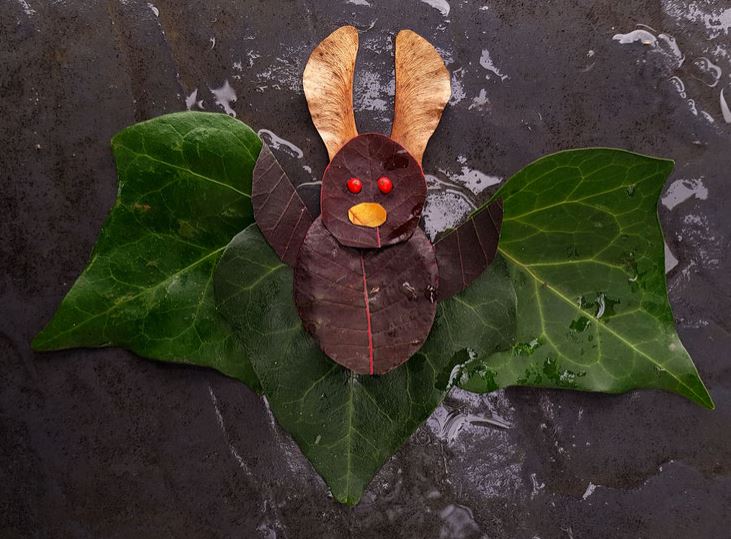 Land art chauves-souris