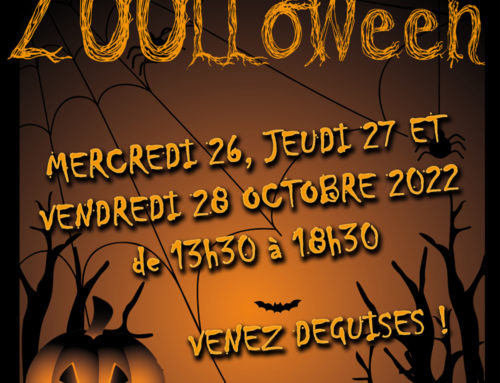 ZOOLLOWEEN, wednesday 26, thursday 27 and friday 28 October 2022