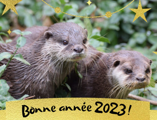 Bonne année 2023 !