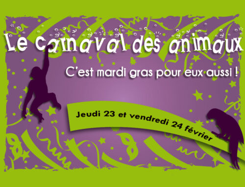 Jeudi 23 et vendredi 24 février : Le Carnaval des animaux