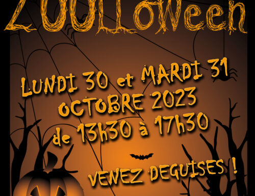 ZOOLLOWEEN, monday 30th and tuesday 31st October 2023