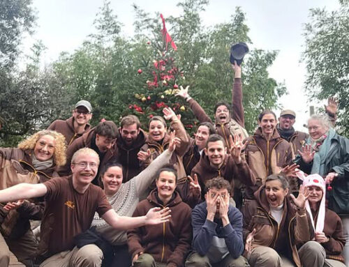 Ouverture pendant les vacances de Noël, du 20 décembre au 4 janvier !