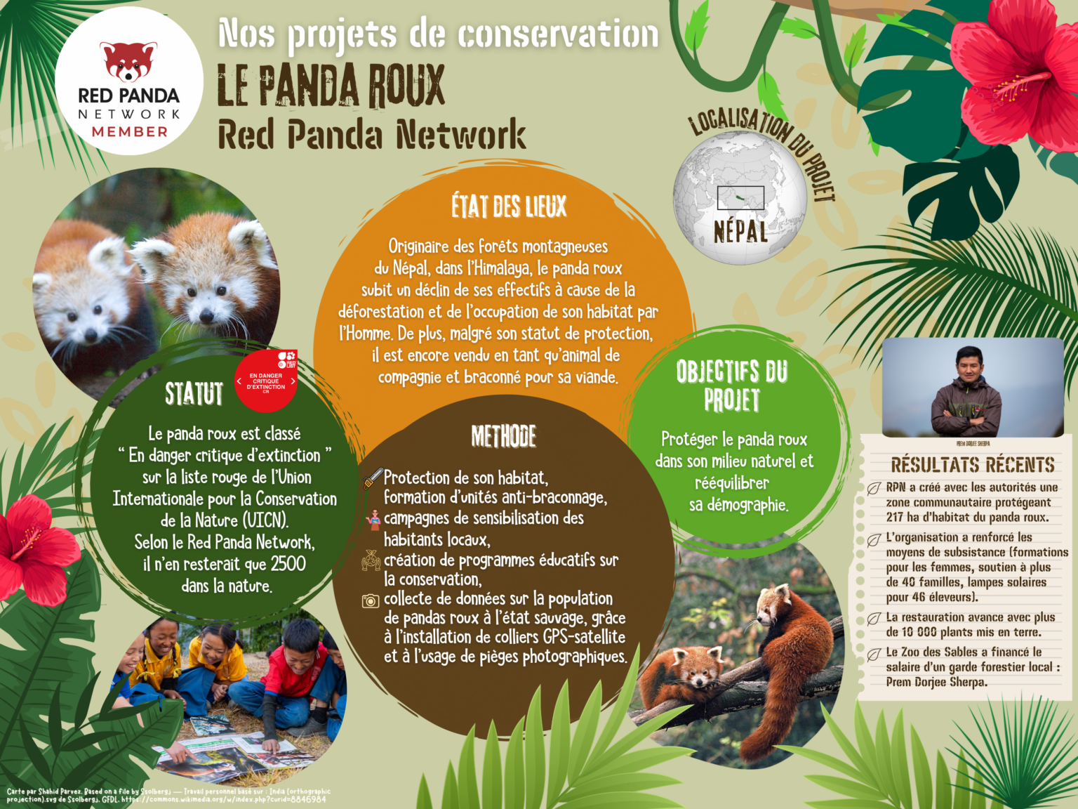 Red panda project – Zoo des Sables d'Olonne