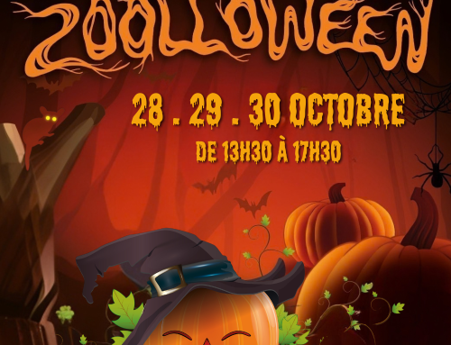 Mercredi 28, jeudi 29 et vendredi 30 octobre 2026, c&rsquo;est ZOOLLOWEEN au Zoo des Sables !
